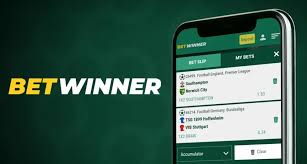 Comprehensive BetWinner Betting Guide Tips, Strategies, and Insights