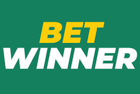 Understanding the BetWinner Login Process A Complete Guide
