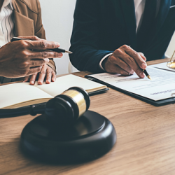 meticulos preparation